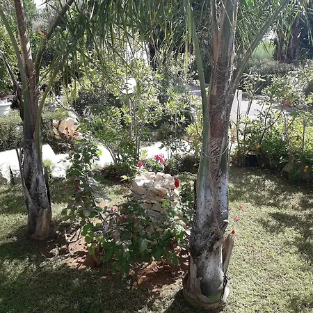 Villa L'oasi Di Athena Raguse